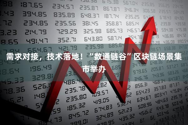 需求对接，技术落地！“数通链谷”区块链场景集市举办
